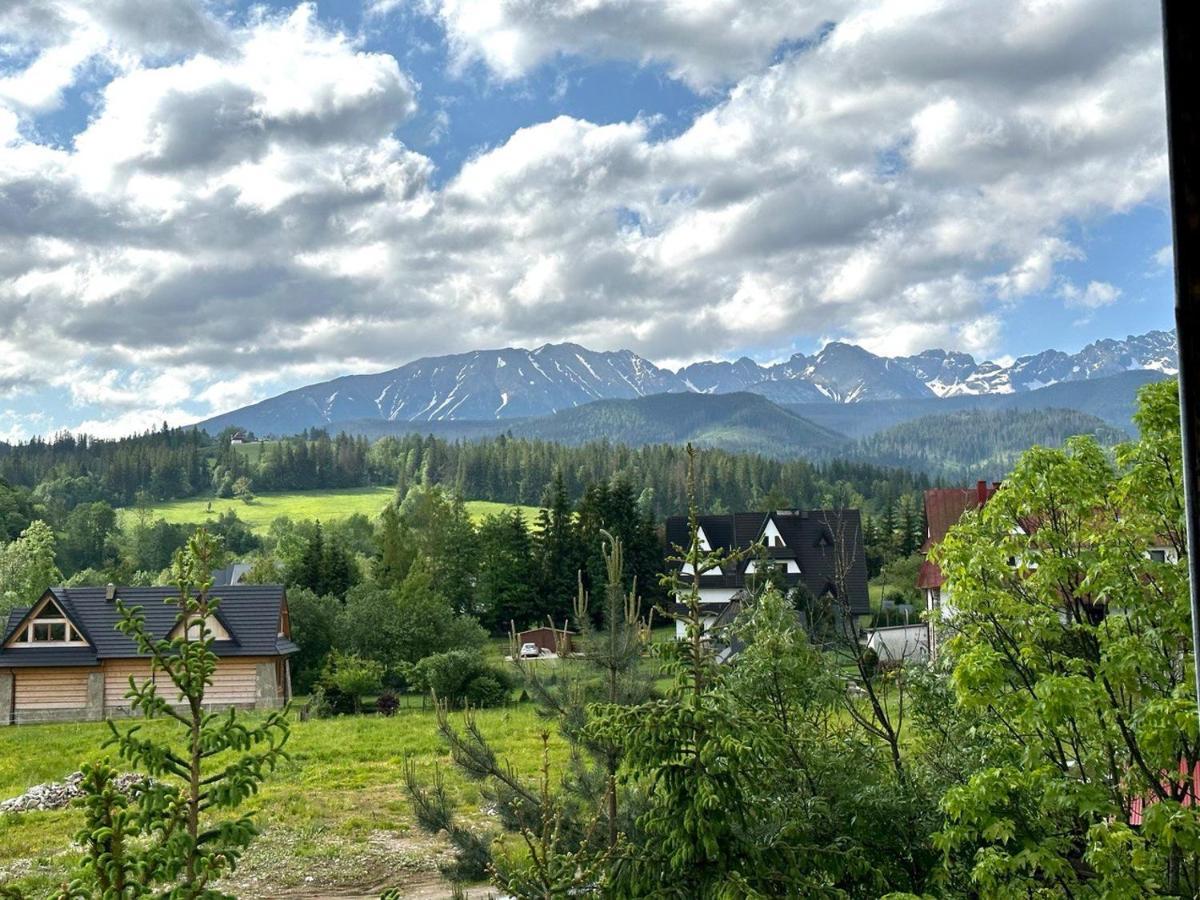Villa Gronik Zakopane Esterno foto