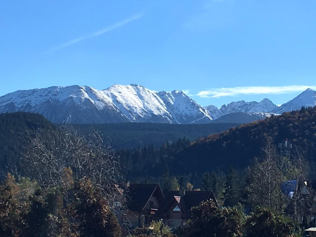 Villa Gronik Zakopane Esterno foto